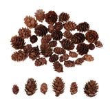 Maxbell 50 Pieces Mixed Size Mini Natural Rustic Dried Pine Cones In Bulk For Christmas Party Ornament Florists Gift Wrapping Decoration - Aladdin Shoppers