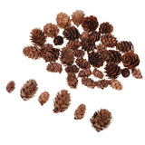 Maxbell 50 Pieces Mixed Size Mini Natural Rustic Dried Pine Cones In Bulk For Christmas Party Ornament Florists Gift Wrapping Decoration - Aladdin Shoppers