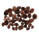 Maxbell 50 Pieces Mixed Size Mini Natural Rustic Dried Pine Cones In Bulk For Christmas Party Ornament Florists Gift Wrapping Decoration - Aladdin Shoppers