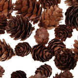 Maxbell 50 Pieces Mixed Size Mini Natural Rustic Dried Pine Cones In Bulk For Christmas Party Ornament Florists Gift Wrapping Decoration - Aladdin Shoppers