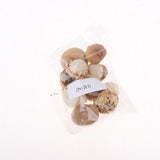 Maxbell Unique Table Decor Ornaments Natural Dried Plants Mushroom Style Crafts Supply 20-30mm - Aladdin Shoppers