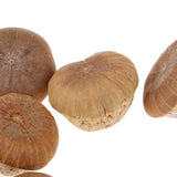 Maxbell Unique Table Decor Ornaments Natural Dried Plants Mushroom Style Crafts Supply 20-30mm - Aladdin Shoppers