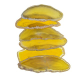 Maxbell 6Pc 2-3" Lemon Yellow Agate Slices Quartz Crystal Pendant Jewelry DIY Making - Aladdin Shoppers