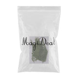 Maxbell 12 Pieces 7-8cm Length Real Pressed Leaves Dried Flowers Embellishments for Card making Scrapbooking Art Crafts DIY Handmade Floral Decorations - Aladdin Shoppers