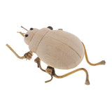 Maxbell Maxbell DIY Cute Insect Natural Wooden Ornaments Educational Toys For Children Kids