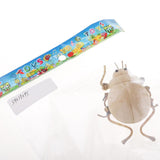 Maxbell Maxbell DIY Cute Insect Natural Wooden Ornaments Educational Toys For Children Kids