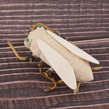 Maxbell 1 Set Unfinished Unpainted DIY Bamboo Cicada Insects Toys for Kids Handmade Craft Model Making Hobbies - Aladdin Shoppers