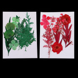Maxbell 1 Pack Mixed Real Pressed Dried Flower Leaves Leaf Scrapbooking Embellishments for Wedding Invitation Card Making Green - Aladdin Shoppers