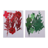 Maxbell 1 Pack Mixed Real Pressed Dried Flower Leaves Leaf Scrapbooking Embellishments for Wedding Invitation Card Making Green - Aladdin Shoppers
