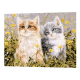 DIY Oil Painting Paint by Number Kit for Adults Kids Drawing with Brushes Paint Home Wall Decoration - Cute Cats, 40x50cm - Aladdin Shoppers