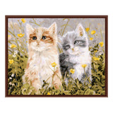 DIY Oil Painting Paint by Number Kit for Adults Kids Drawing with Brushes Paint Home Wall Decoration - Cute Cats, 40x50cm - Aladdin Shoppers