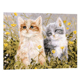 DIY Oil Painting Paint by Number Kit for Adults Kids Drawing with Brushes Paint Home Wall Decoration - Cute Cats, 40x50cm - Aladdin Shoppers