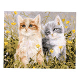 DIY Oil Painting Paint by Number Kit for Adults Kids Drawing with Brushes Paint Home Wall Decoration - Cute Cats, 40x50cm - Aladdin Shoppers