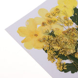 1 Bag Real Pressed Leaves Natural Dried Flowers for Scrapbooking Card making