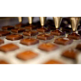 Maxbell 56 Cavity Silicone Mould 31x31x19mm Mini Cubes Mold Ice Cube Tray Chocolate Cake Molds Cube Sugar Jelly Mold DIY Freezing Baking Molding Craft Tool - Aladdin Shoppers