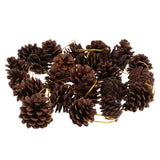 Maxbell 36pcs natural real dried pine cone for christmas thanks giving ornaments  B