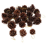 Maxbell 36pcs natural real dried pine cone for christmas thanks giving ornaments  B