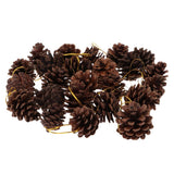Maxbell 36pcs natural real dried pine cone for christmas thanks giving ornaments  B