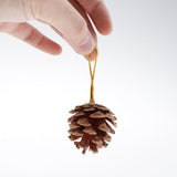 Maxbell 36pcs natural real dried pine cone for christmas thanks giving ornaments  B