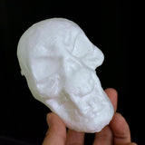 Maxbell Halloween decorating skull and foam head 5 stereoscopic + 5 complanate