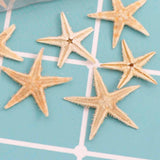 Maxbell Natural Starfish Seashells Wedding Display Craft Aquarium Decorations