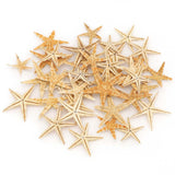 Maxbell Natural Starfish Seashells Wedding Display Craft Aquarium Decorations