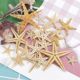 Maxbell Natural Starfish Seashells Wedding Display Craft Aquarium Decorations