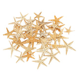 Maxbell Natural Starfish Seashells Wedding Display Craft Aquarium Decorations