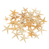 Maxbell Natural Starfish Seashells Wedding Display Craft Aquarium Decorations