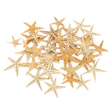 Maxbell Natural Starfish Seashells Wedding Display Craft Aquarium Decorations