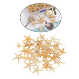 Maxbell Natural Starfish Seashells Wedding Display Craft Aquarium Decorations