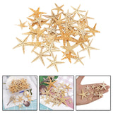 Maxbell Natural Starfish Seashells Wedding Display Craft Aquarium Decorations