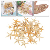 Maxbell Natural Starfish Seashells Wedding Display Craft Aquarium Decorations