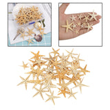 Maxbell Natural Starfish Seashells Wedding Display Craft Aquarium Decorations