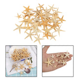 Maxbell Natural Starfish Seashells Wedding Display Craft Aquarium Decorations