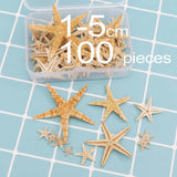 Maxbell Natural Starfish Seashells Wedding Display Craft Aquarium Decorations