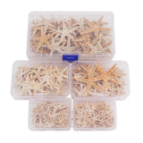 Maxbell Natural Starfish Seashells Wedding Display Craft Aquarium Decorations