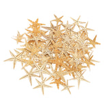 Maxbell Natural Starfish Seashells Wedding Display Craft Aquarium Decorations