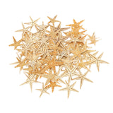 Maxbell Natural Starfish Seashells Wedding Display Craft Aquarium Decorations