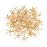 Maxbell Natural Starfish Seashells Wedding Display Craft Aquarium Decorations