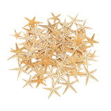 Maxbell Natural Starfish Seashells Wedding Display Craft Aquarium Decorations