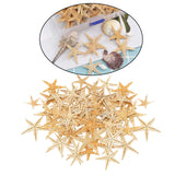 Maxbell Natural Starfish Seashells Wedding Display Craft Aquarium Decorations