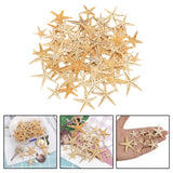 Maxbell Natural Starfish Seashells Wedding Display Craft Aquarium Decorations