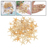 Maxbell Natural Starfish Seashells Wedding Display Craft Aquarium Decorations