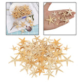 Maxbell Natural Starfish Seashells Wedding Display Craft Aquarium Decorations