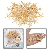 Maxbell Natural Starfish Seashells Wedding Display Craft Aquarium Decorations