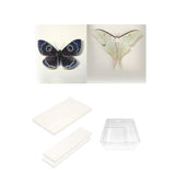 Maxbell Making Butterfly Specimen Tool for Wedding Living Room Durable Display Case