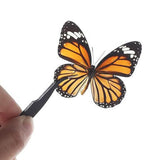 Maxbell Making Butterfly Specimen Tool for Wedding Living Room Durable Display Case