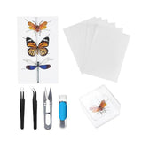 Maxbell Making Butterfly Specimen Tool for Wedding Living Room Durable Display Case