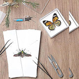 Maxbell Making Butterfly Specimen Tool for Wedding Living Room Durable Display Case